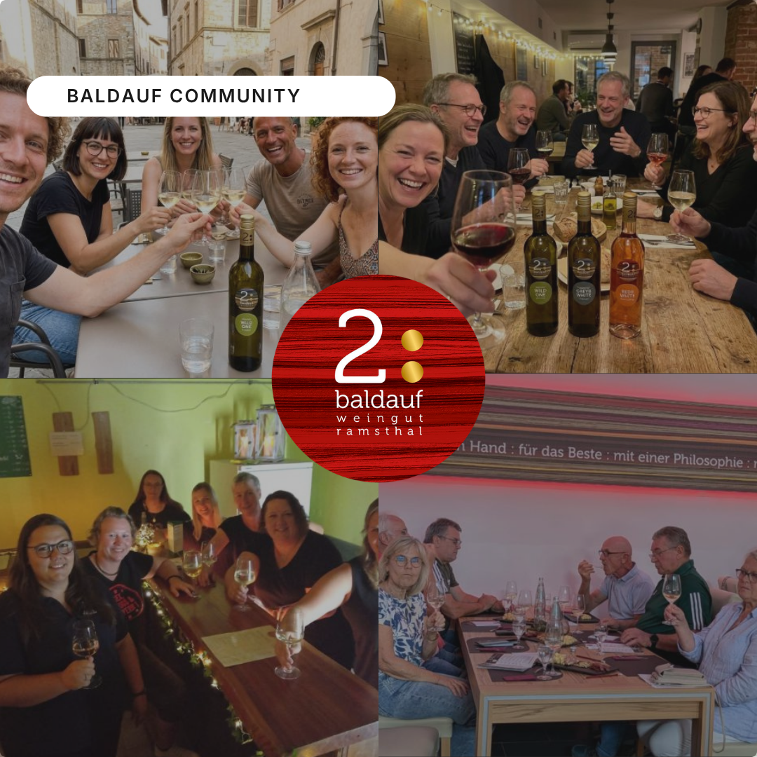 Finde in einem Abend heraus, welcher Wein wirklich zu dir passt — mit dem geführten Winzer-Tasting für (W)Einsteiger.