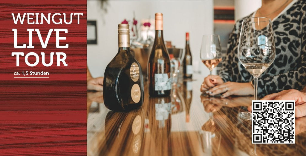 WEINGUT LIVE TOUR jeden Dienstag 15 Uhr (nur nach Anmeldung)