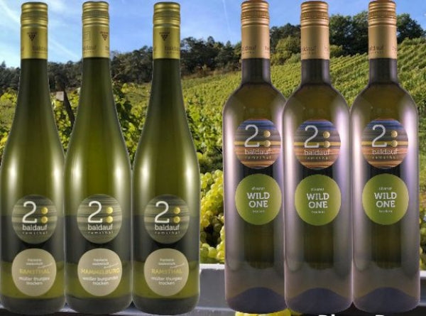 Silvaner hoch²  (6 Flaschen incl. Versand)