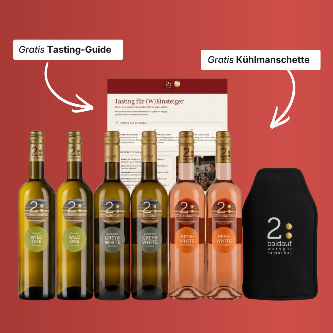 Finde in einem Abend heraus, welcher Wein wirklich zu dir passt — mit dem geführten Winzer-Tasting für (W)Einsteiger.