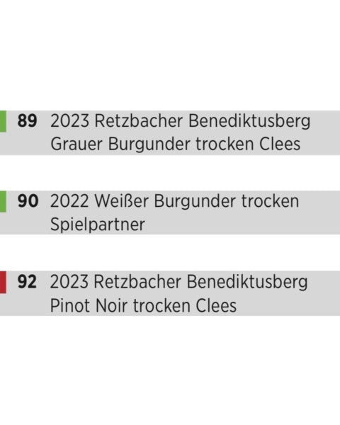 VINUM WINEGUIDE PAKET 2026 - TOP AUSGEZEICHNETE WEINE (incl. Versand) – Detail